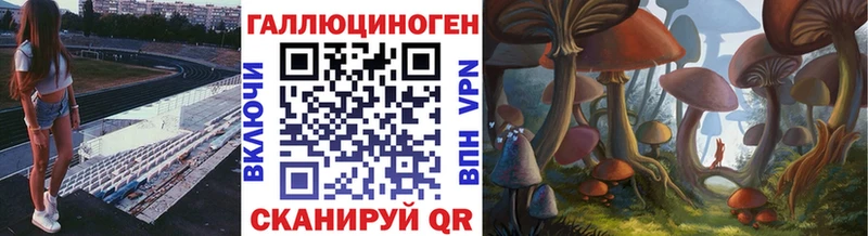 Галлюциногенные грибы GOLDEN TEACHER наркотики Стерлитамак